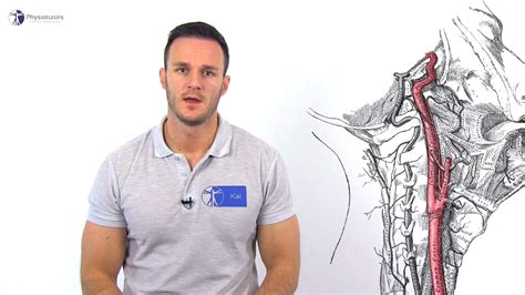 Carotid Artery Screening - Physiotutors