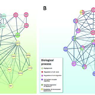 Image result for STRING Protein Interactions