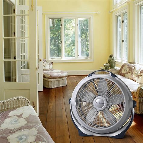 Best Floor Fans For Apartment at Robert Taylor blog