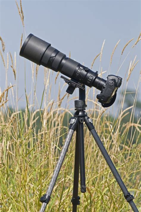 Digital SLR User 的图像结果