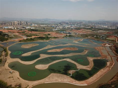 滨江生态湿地现场-图片新闻-铜陵经济技术开发区