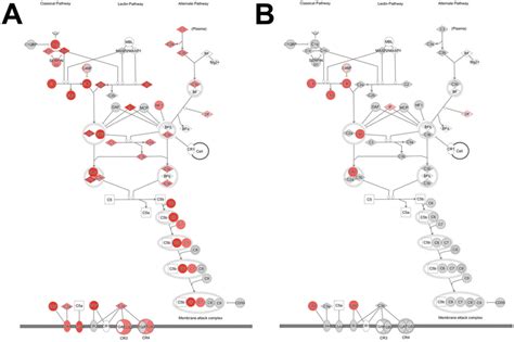 Image result for Complement Cascade Model
