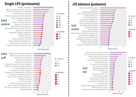 Less Severe Sepsis in Cecal Ligation and Puncture Models with and ...