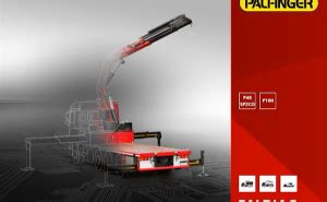 Image result for Paldiag Net