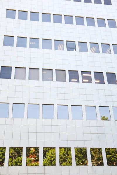 Commercial Building Windows 的图像结果