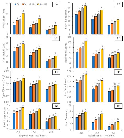 Humic Acid and Selenium Supplementation Modulate the Growth and ...