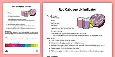 Image result for Red Cabbage Indicator Chart