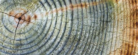 Image result for iSource