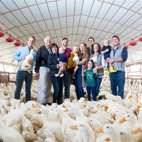 Ghosts of the Past: What Happened to Long Island's Duck Farms ...