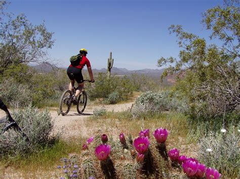 CLIFF CREEK OUTFITTERS (2026) All You Need to Know BEFORE You Go (with ...