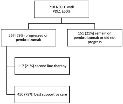 Real-World Outcomes of Stage IV NSCLC with PD-L1 ≥ 50% Treated with ...