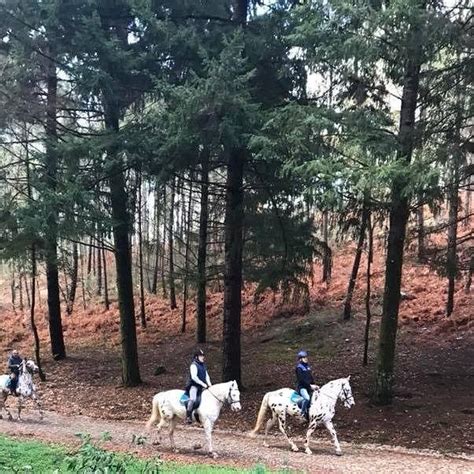 CENTRO HÍPICO MELGAÇO (2026) All You Need to Know BEFORE You Go (with ...