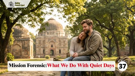 Mission Forensic — Part 37: What We Do With Quiet Days