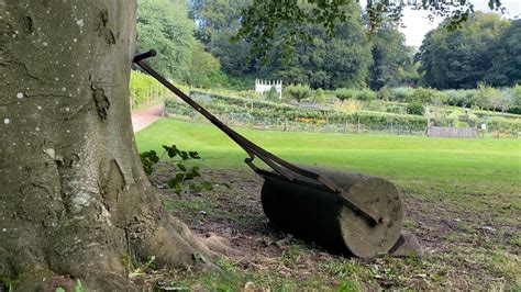 Image result for Python Roller Coaster On-Ride Ultra HD 4