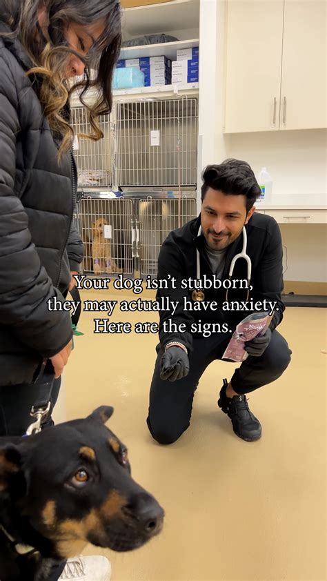 Dr Hersh Garhwal | Doctor of Veterinary Medicine (@drhersh.dvm) • Instagram photos and videos