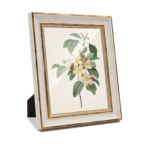 Buy Sapowerntus 8x10 Picture Frame Antique Vintage White Gold Photo ...