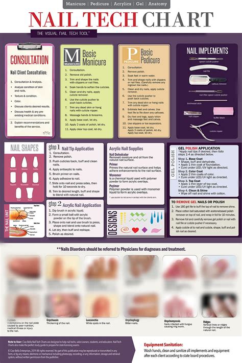 Educational Nail Tech Laminated Poster 18" x 27" Inch, Great For ...