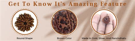 Arihant Gems & Jewels® 8 Mukhi Faced Rudraksha | Natural & Certified ...