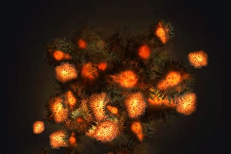 Unity Explosion 的图像结果