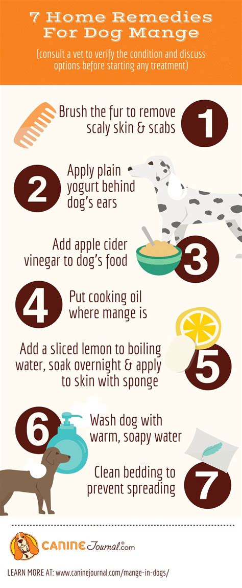 best mange treatment dogs