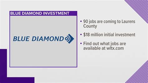 Blue Diamond Industries is coming to South Carolina | wltx.com