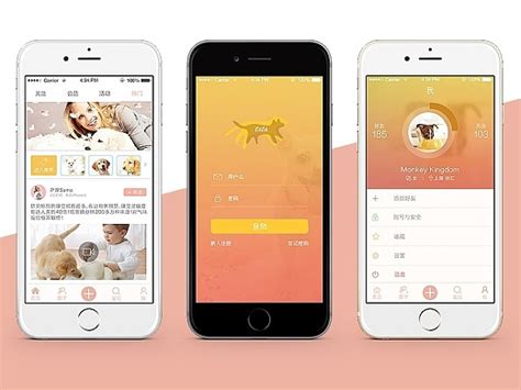 宠物app|UI|APP interface|董太师_Original作品-站酷ZCOOL