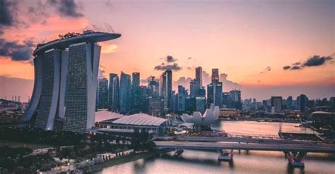 SINGBLOOM-新加坡留学-大专本科留学申请