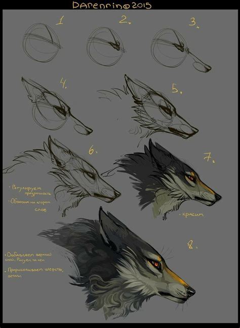 Image result for Wolf Tutorial