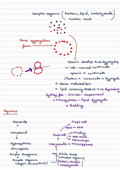 Image result for Evolution Class 12 Chap Animation