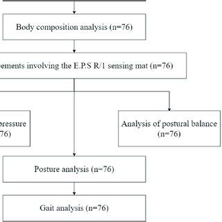 Sample Test Procedure 的图像结果