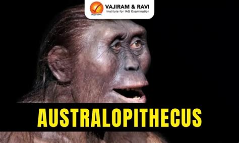 Australopithecus Discovery 的图像结果