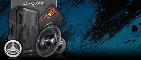 Image result for Skar Audio 12-Inch Subwoofer