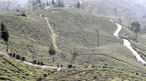 darjeeling off beat place tour package