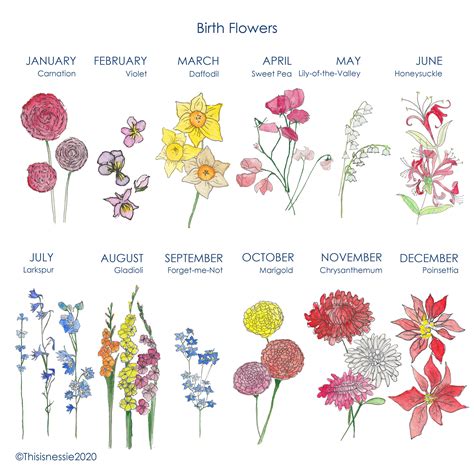Personalised Birth Flower Family Home Print | Birth flowers, Flower ...