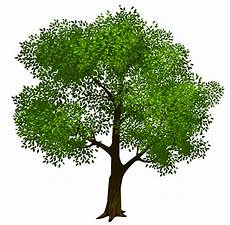 Clipart Transparent Background Tree Images by 63 Free Tree Clipart Cliparting Clipart Transparent Background Tree Images