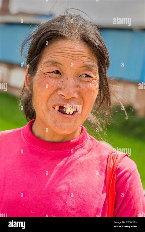 Image result for Toothless Lady Singing