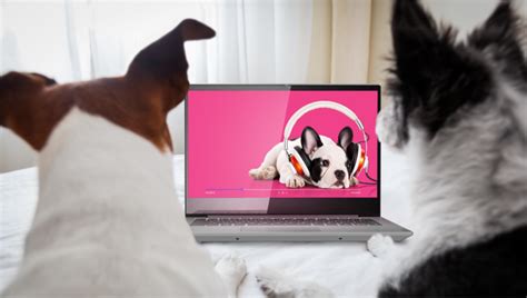 Lenovo Ideapad S340 AMD Ryzen 5 Quad Core 3500U - (8 GB/1 TB HDD/256 GB ...