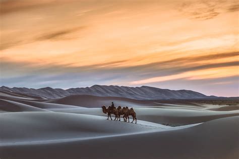 #1 Mongolia Travel Blog - Meanwhile in Mongolia