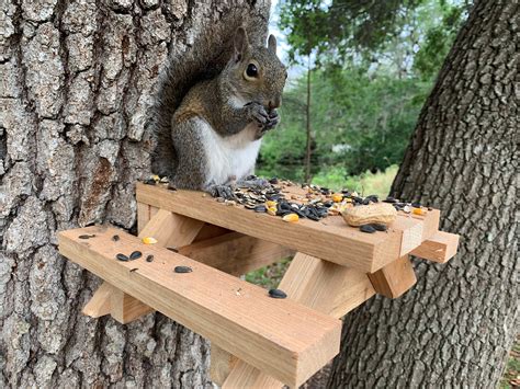 Picnic Table for Squirrels | Etsy