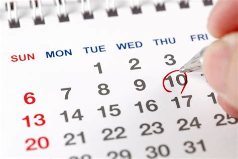 Ear Nose and Throat - How Often Should You Get Botox Touched Up?