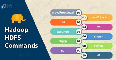 Image result for Basic HDFS Commands