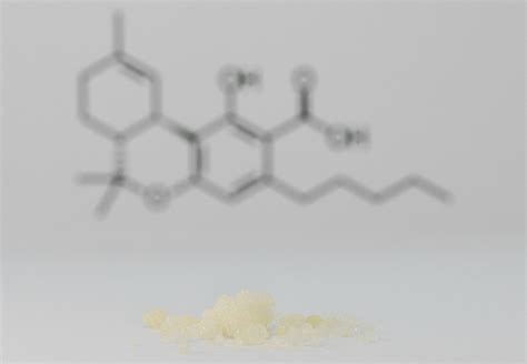What is THCA & How is it Different from THC? | Arbors Wellness