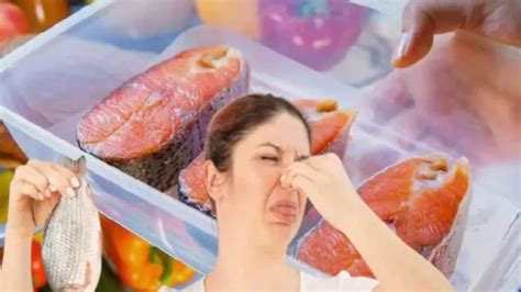 Fish Storage Hacks: ফ্রিজে ৩/৪ দিন মাছ থাকলেই বদলে যায় স্বাদ, গন্ধ ...