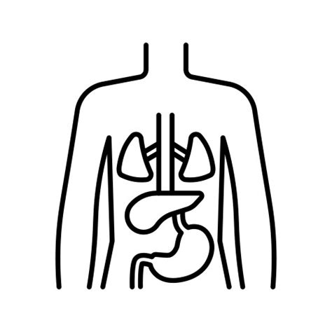 Image result for Muscular System Logo