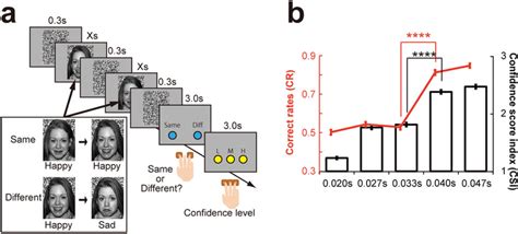 Image result for Bird Training Discrimination Task