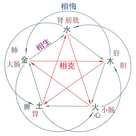 五行五脏关系表 五脏六腑的相互的关系 和五行的关系 它们的联系_第二人生