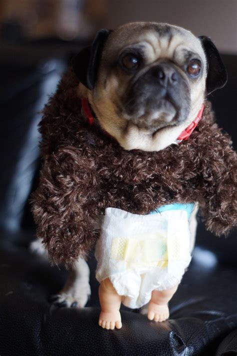 Puppy Monkey Baby Super Bowl Commercial 的图像结果