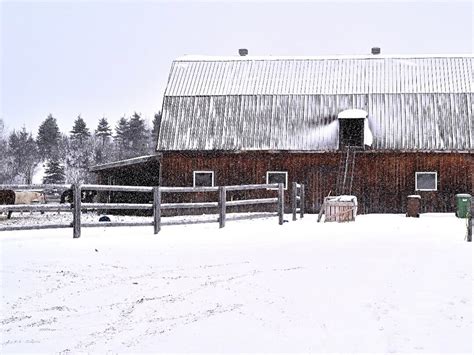 ÉCURIE MDG (2026) All You Need to Know BEFORE You Go (with Photos ...