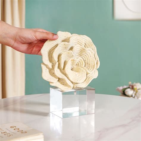 Coral Reef Decor Online - Premium Decor Object | Nestasia