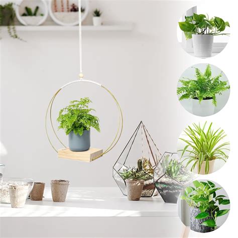 Hanging Planters with Wood Base for Indoor Plants,Modern Boho Macrame ...